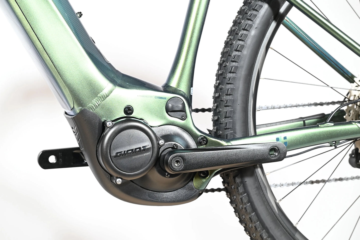 Giant Liv Vall E+1 | 2023 - M - 173KM