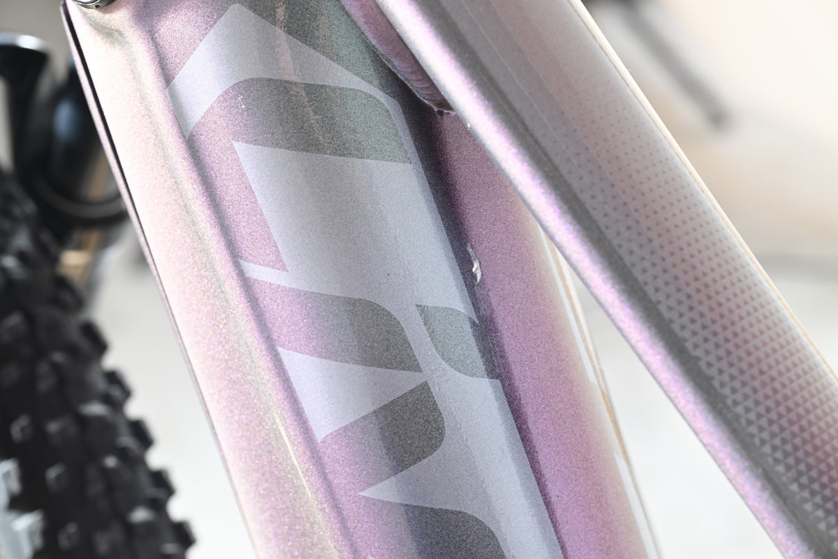 Giant Liv Vall E+2 | 2025 - XS - 734KM