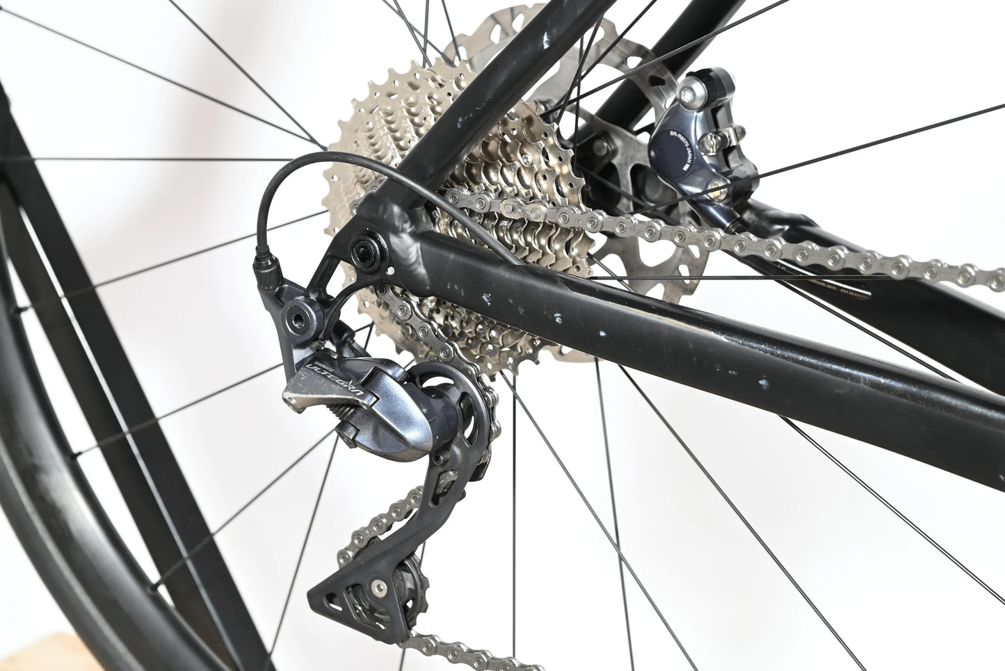 Rose Reveal AL | 2024 - 57CM