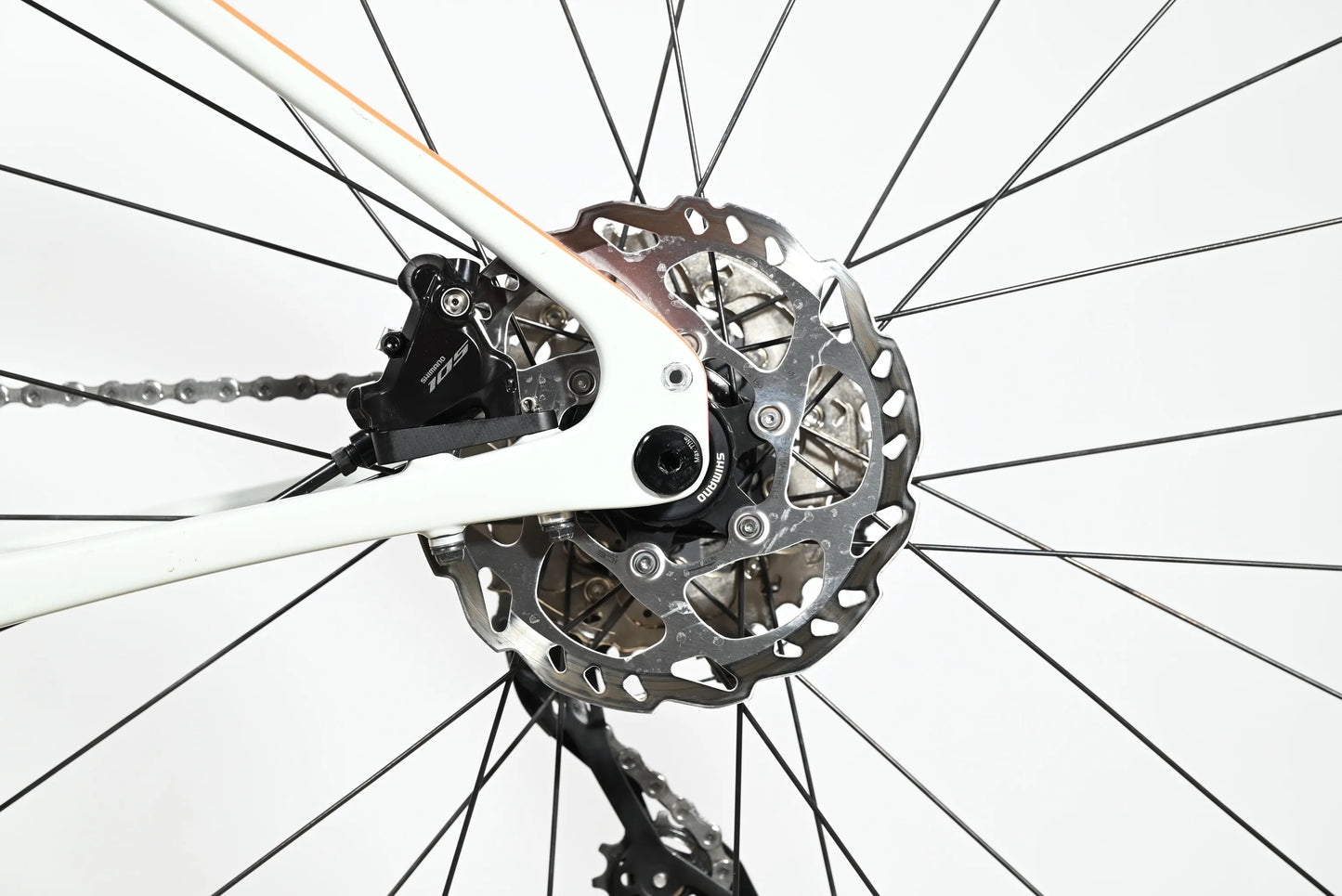 Cannondale Synapse Carbon 3 L | 2023 - 51CM - Loop Sports