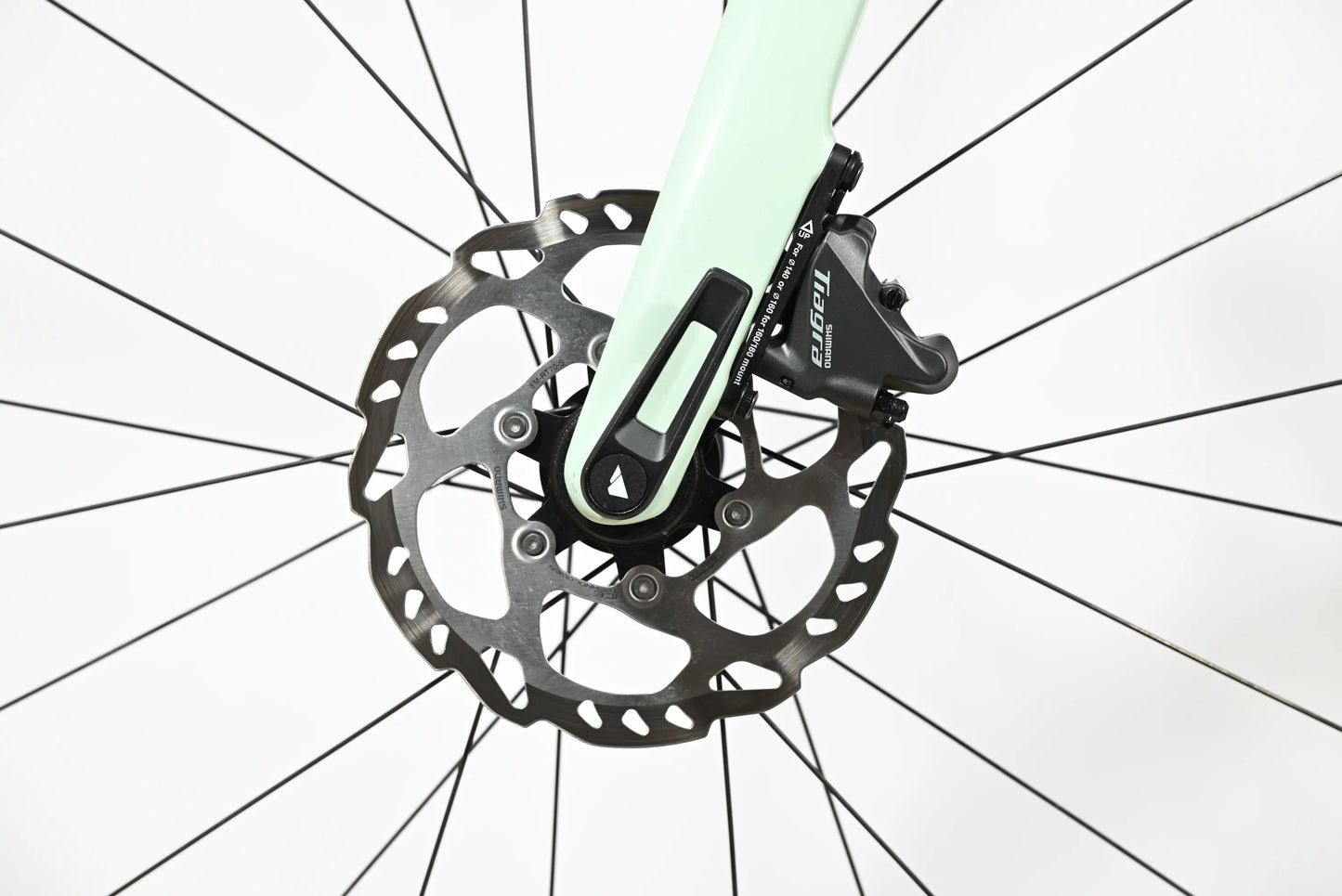 Canyon Endurance AL | 2023 - M - Loop Sports