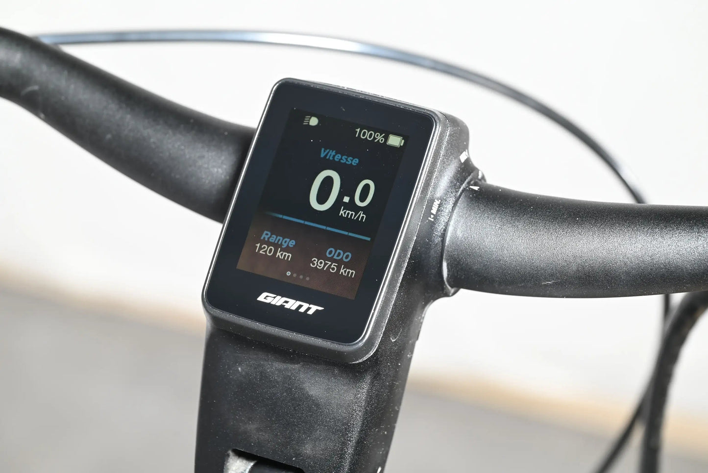 Giant DailyTour E+3 LDS | 2022 - M - 3975KM - Loop Sports