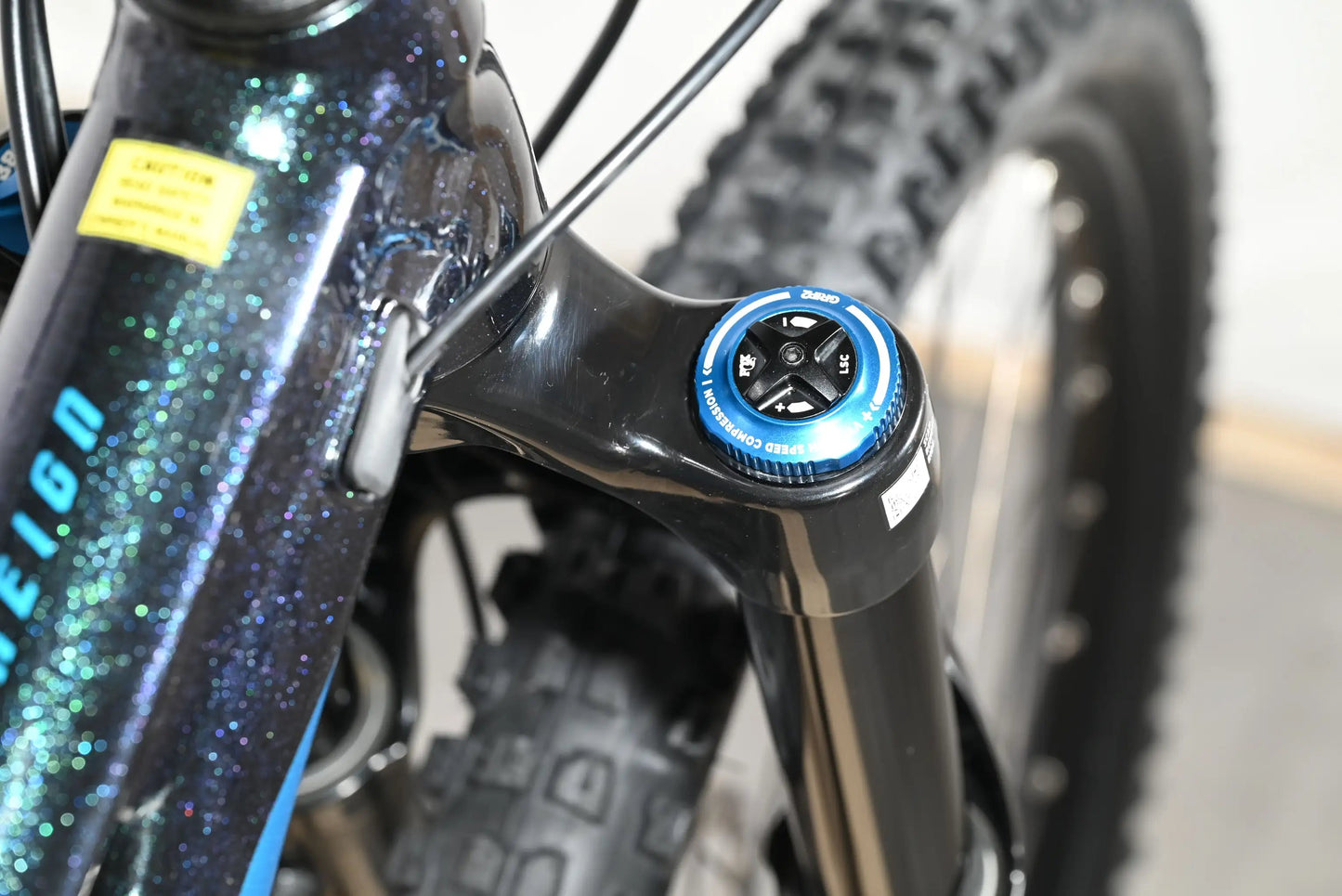 Giant Reign SX | 2023 - M - Loop Sports
