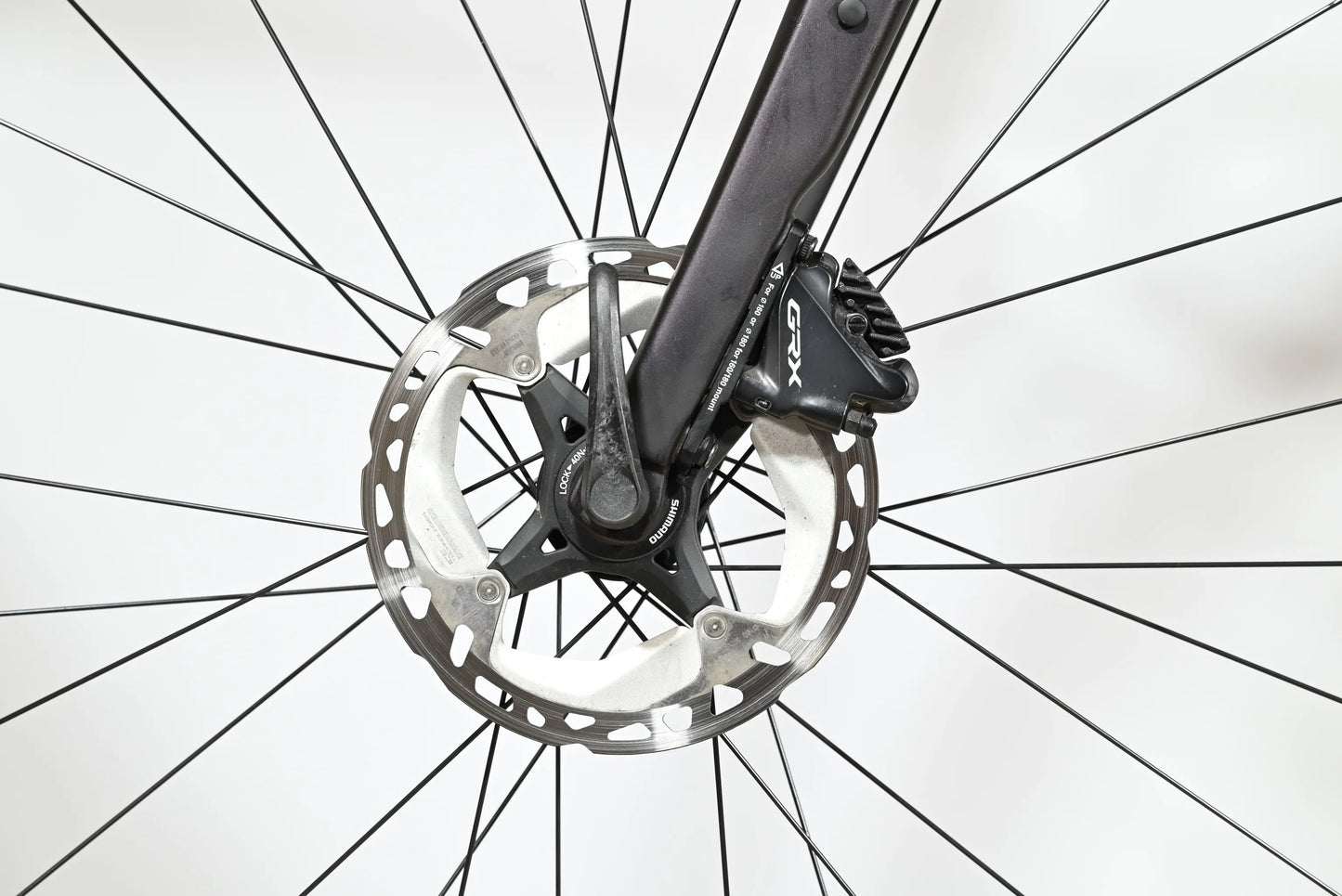 Giant Revolt E+ | 2024 - 53CM - 1813KM - Loop Sports