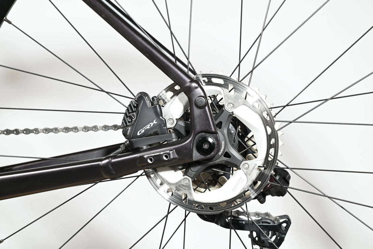 Giant Revolt E+ | 2024 - 53CM - 1813KM - Loop Sports