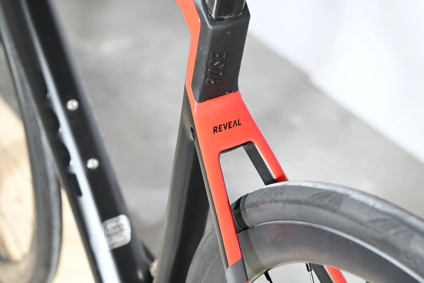 Rose Reveal Four Disc 105 | 2023 - 55CM - Loop Sports