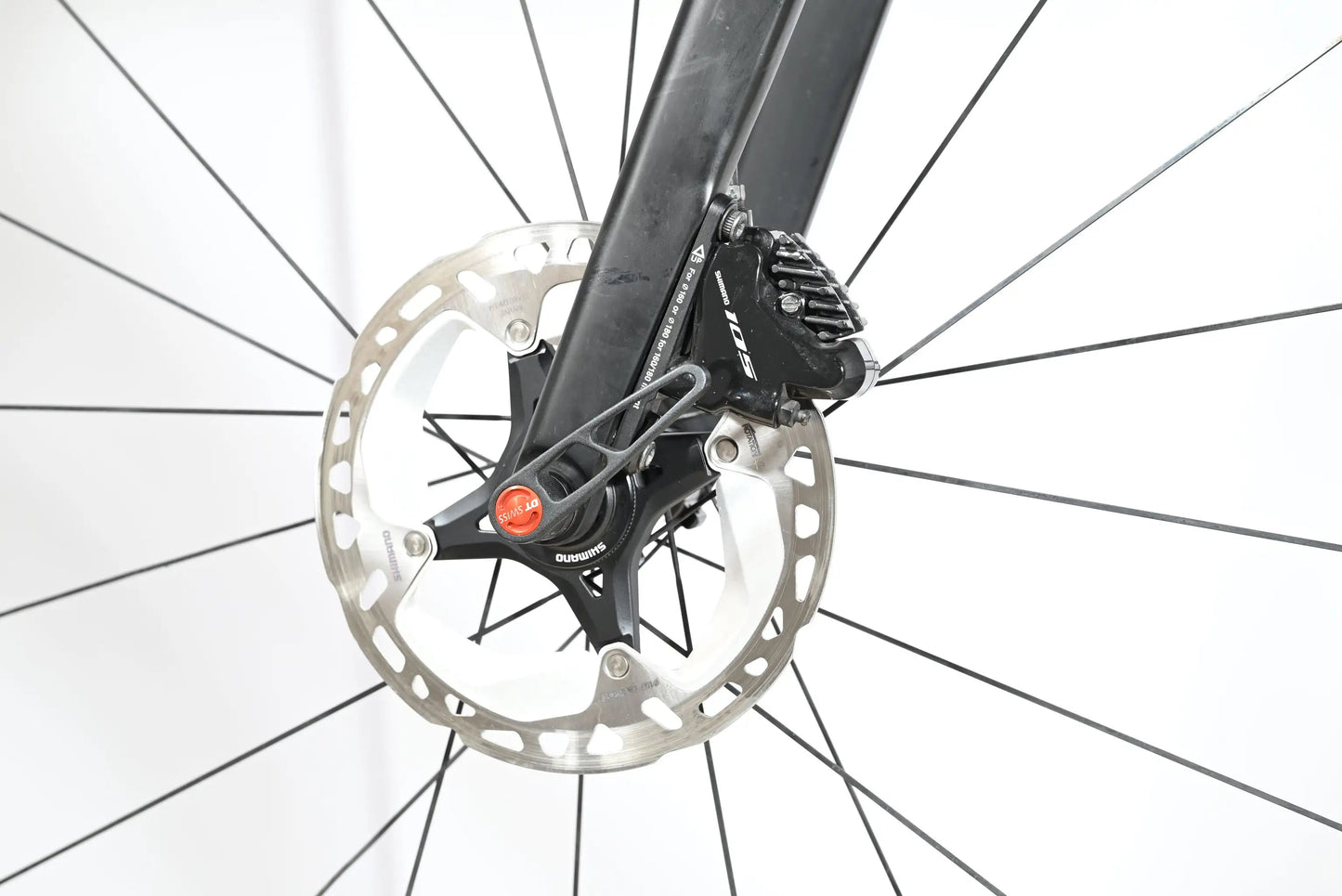 Rose Reveal Four Disc 105 | 2023 - 55CM - Loop Sports