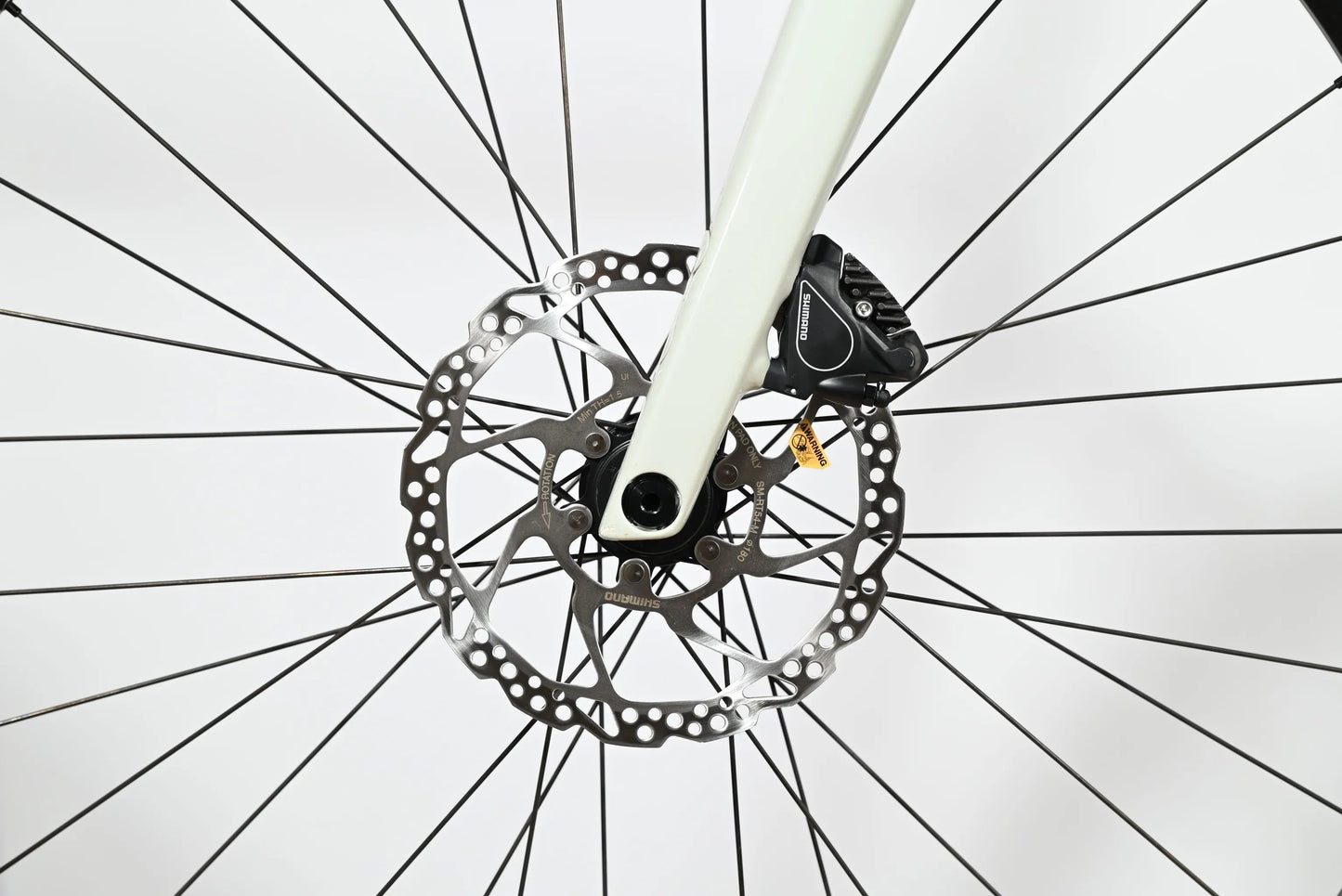 Rose Sneak 2 | 2022 - 59CM - Loop Sports