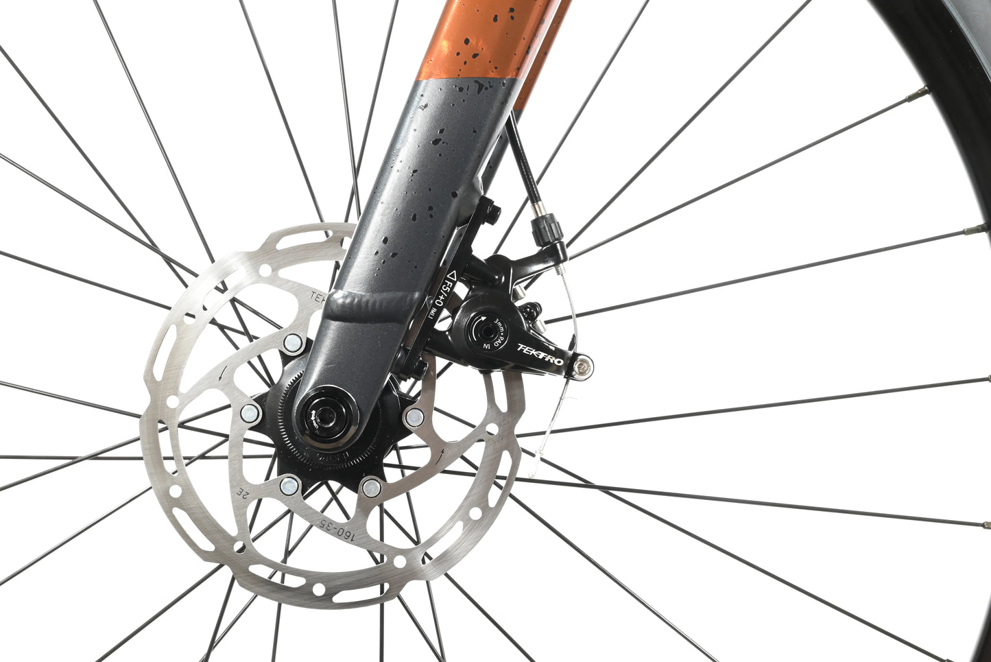 Scott Speedster Gravel 60 | 2024 - L - Loop Sports