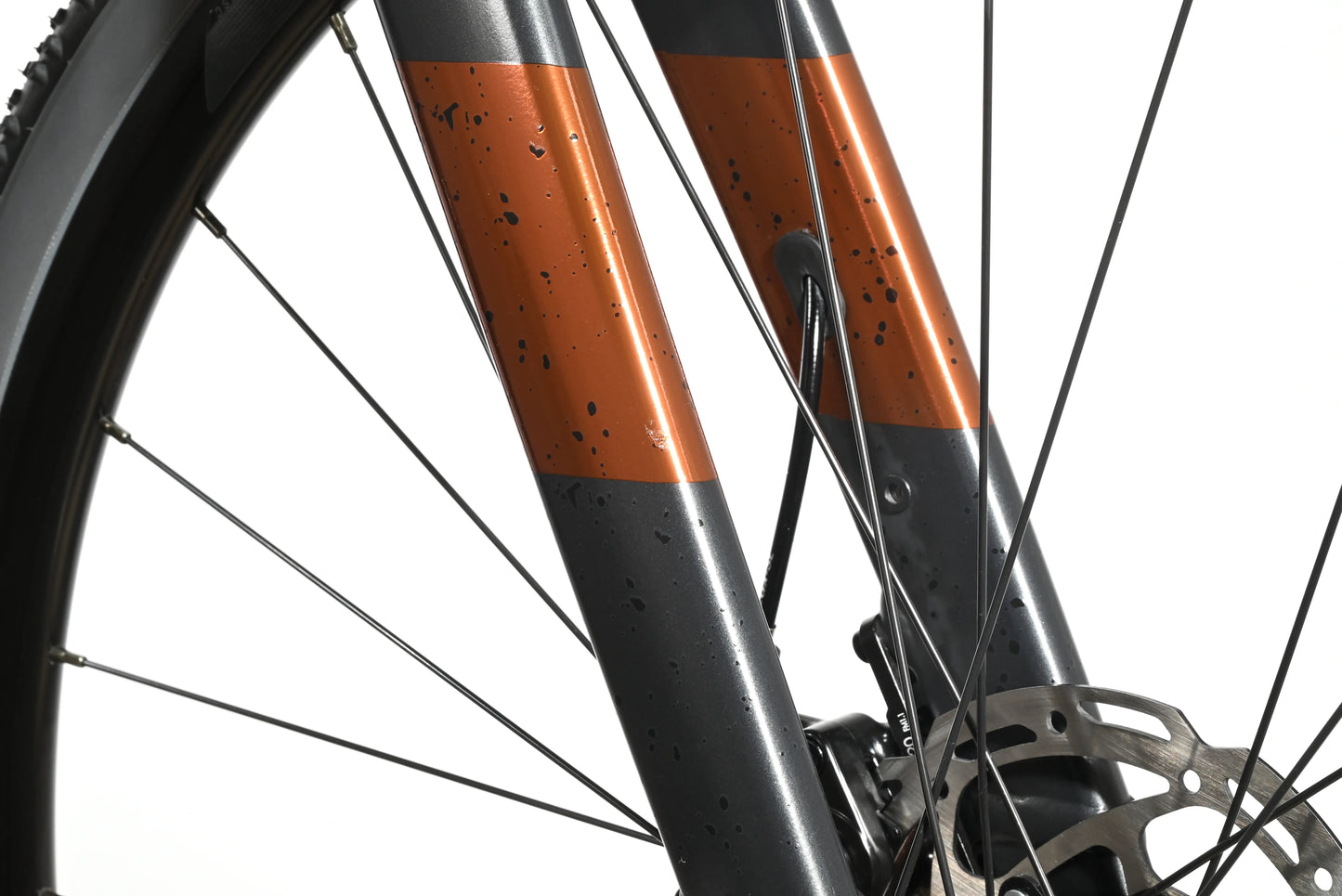 Scott Speedster Gravel 60 | 2024 - L - Loop Sports