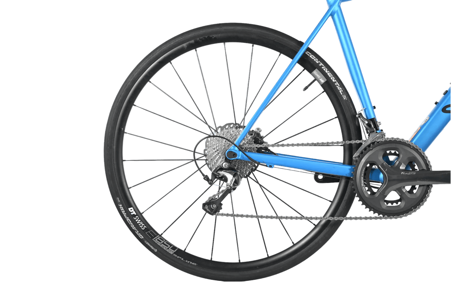 Canyon Endurace AL Disc 7.0 | 2021 - 54CM - Loop Sports