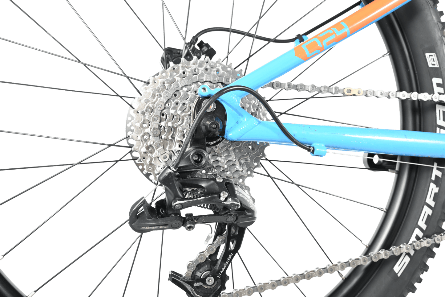Felt Q24 Disc | 2020 - JR 24" - Loop Sports