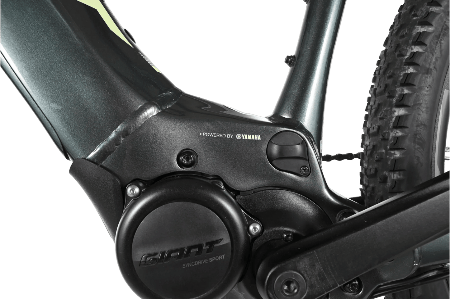 Giant Fathom E+ 1 | 2022 - L - 438KM - Loop Sports