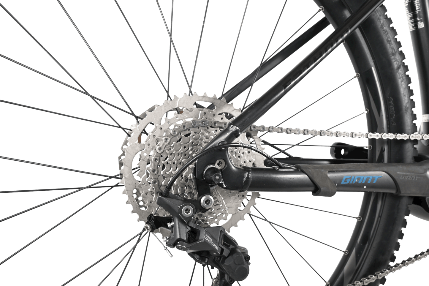 Giant Fathom E+ 2 | 2021 - L - 1206KM - Loop Sports