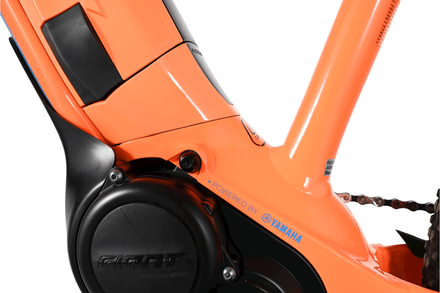 Giant Fathom E+ JR | 2021 - 2XS - 540KM - Loop Sports