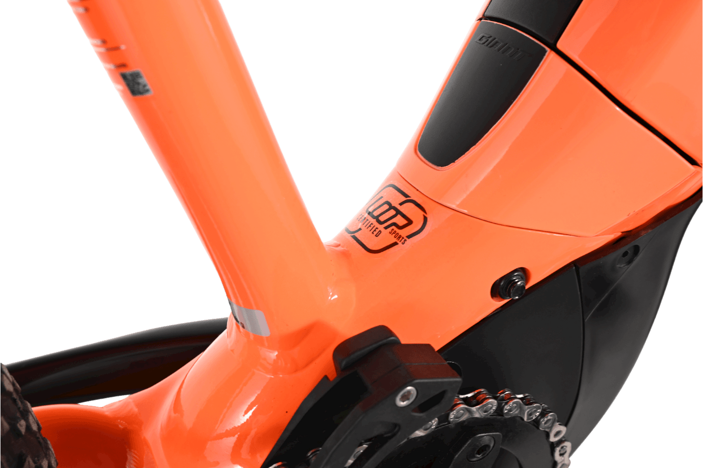 Giant Fathom E+ JR | 2021 - 2XS - 540KM - Loop Sports
