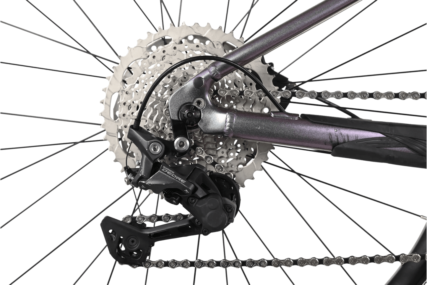 Giant Liv Vall E+ 2 | 2022 - XS - 306KM - Loop Sports