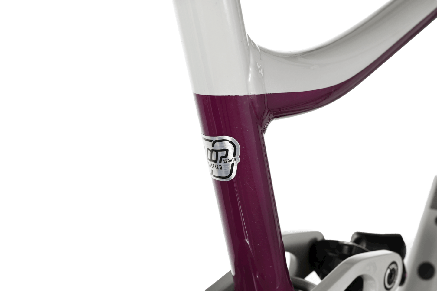 Giant Reign 29 SX | 2021 - L - Loop Sports