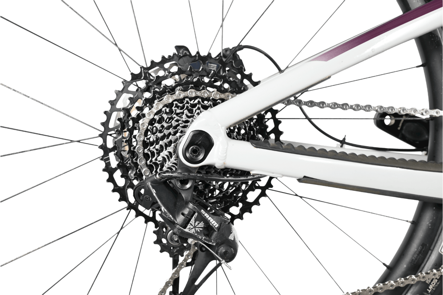 Giant Reign 29 SX | 2021 - L - Loop Sports
