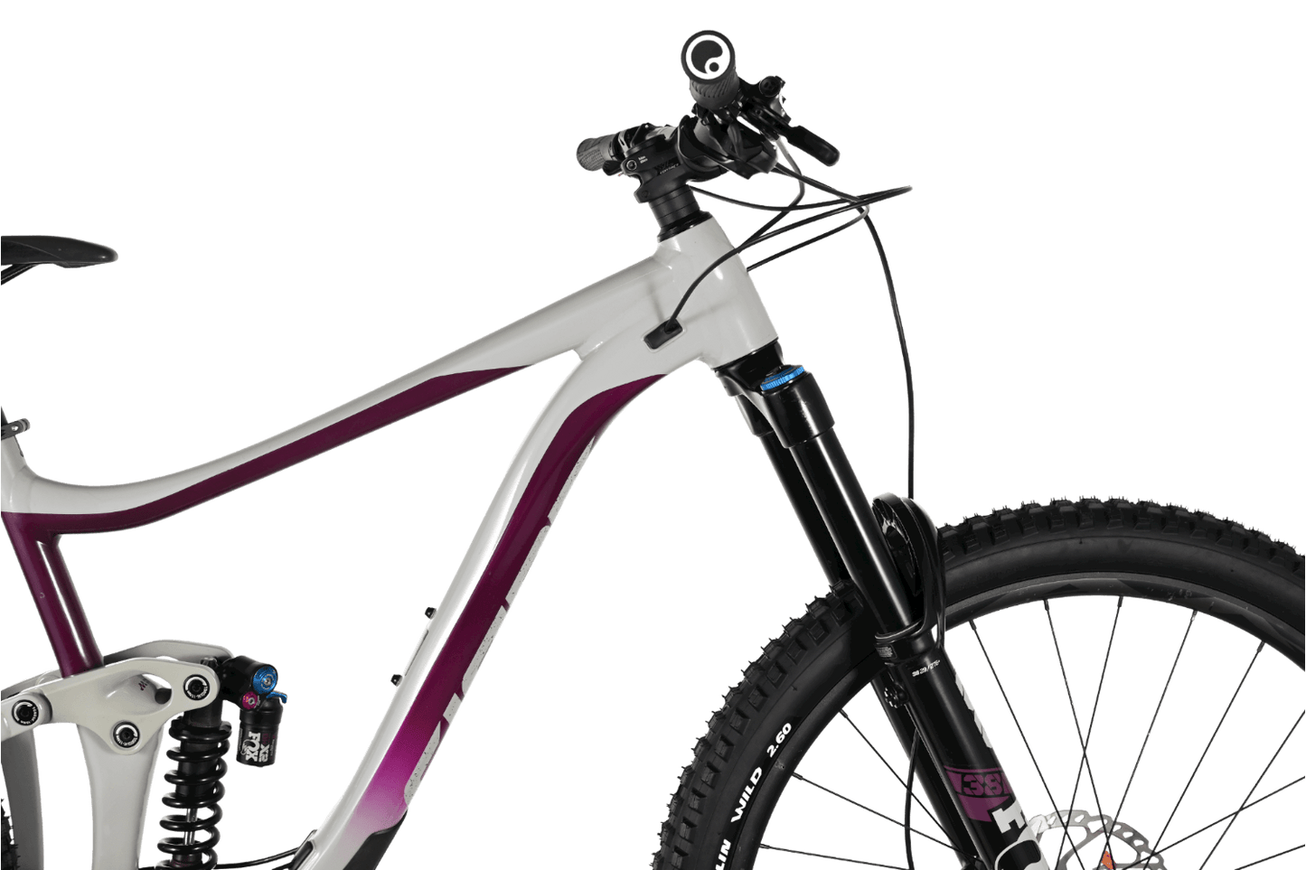 Giant Reign 29 SX | 2021 - L - Loop Sports