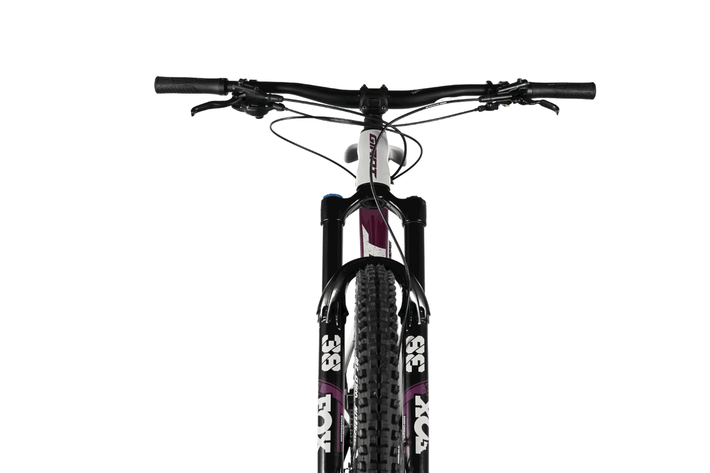 Giant Reign 29 SX | 2021 - L - Loop Sports