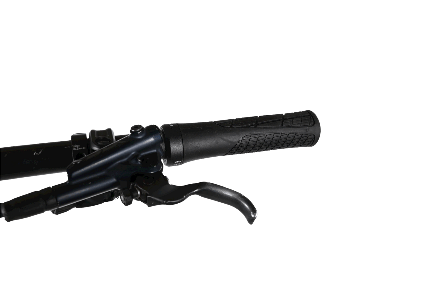 Giant Reign 29 SX | 2021 - L - Loop Sports