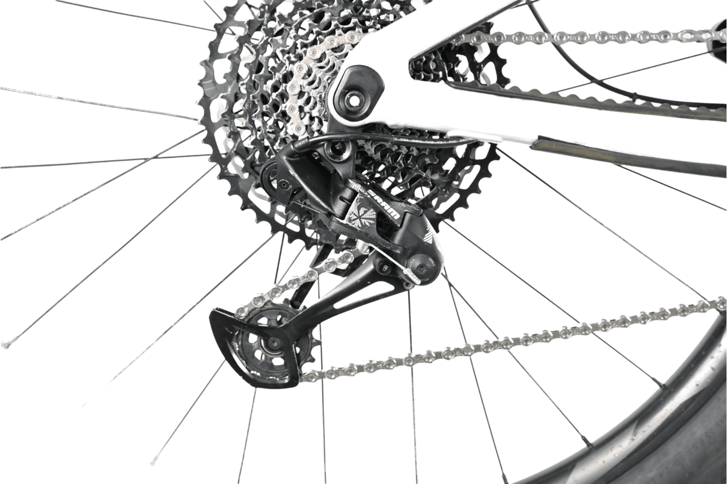 Giant Reign 29 SX | 2021 - M - Loop Sports