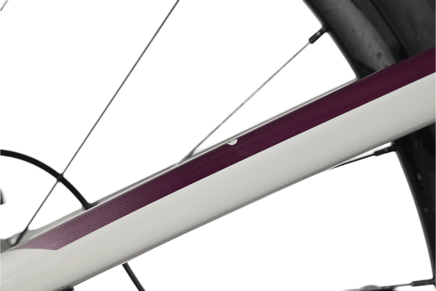 Giant Reign 29 SX | 2021 - M - Loop Sports