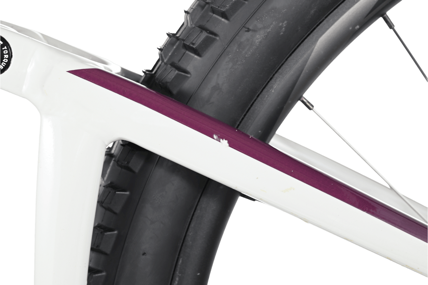 Giant Reign 29 SX | 2021 - M - Loop Sports