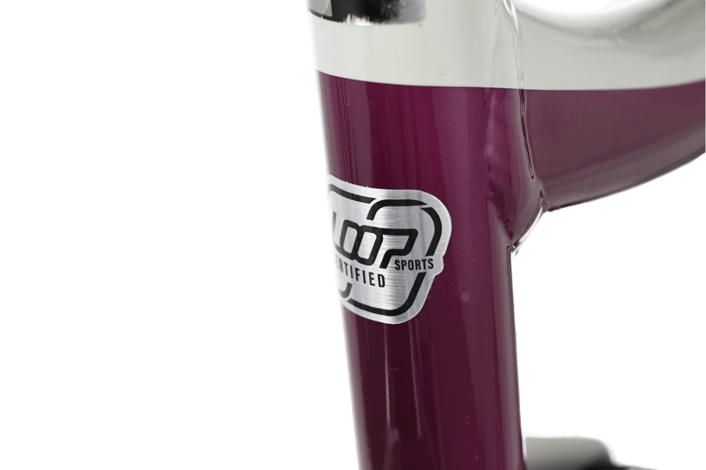 Giant Reign 29 SX | 2021 - M - Loop Sports
