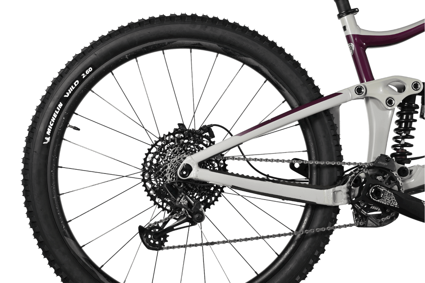 Giant Reign 29 SX | 2021 - M - Loop Sports