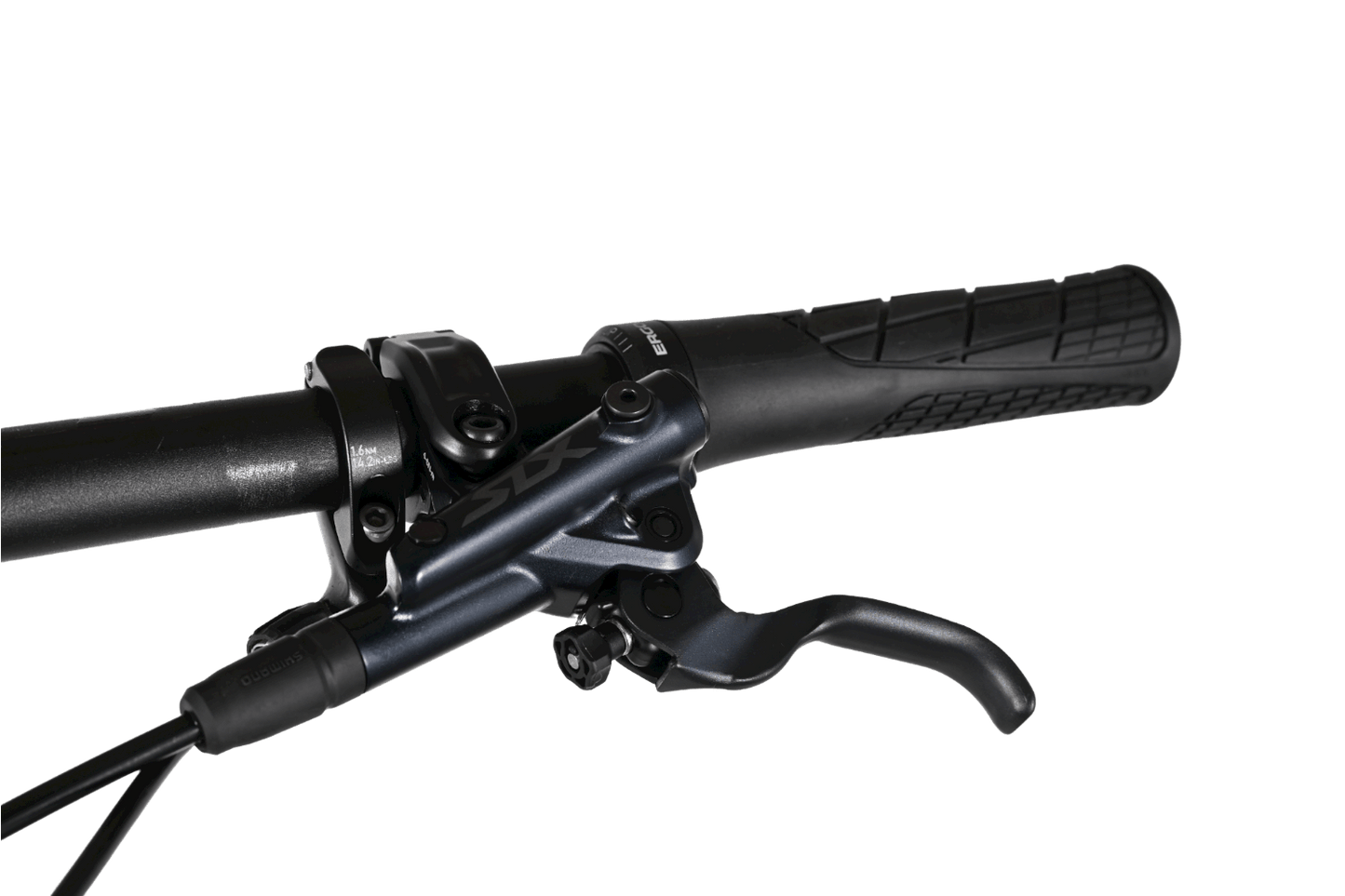 Giant Reign 29 SX | 2021 - S - Loop Sports