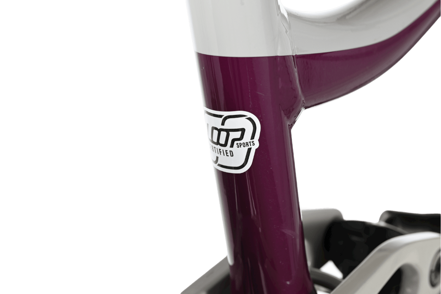 Giant Reign 29 SX | 2021 - S - Loop Sports