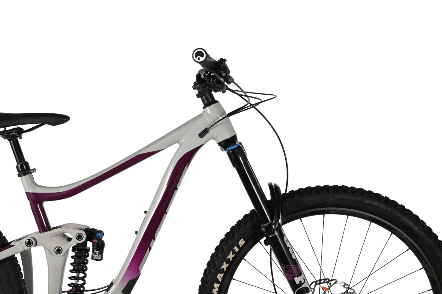Giant Reign 29 SX | 2021 - S - Loop Sports