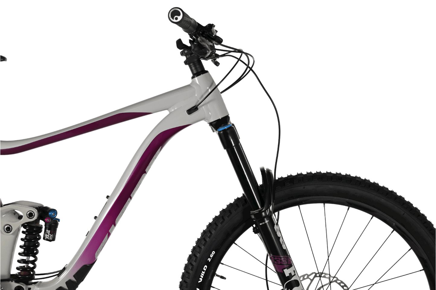 Giant Reign 29 SX | 2021 - XL - Loop Sports