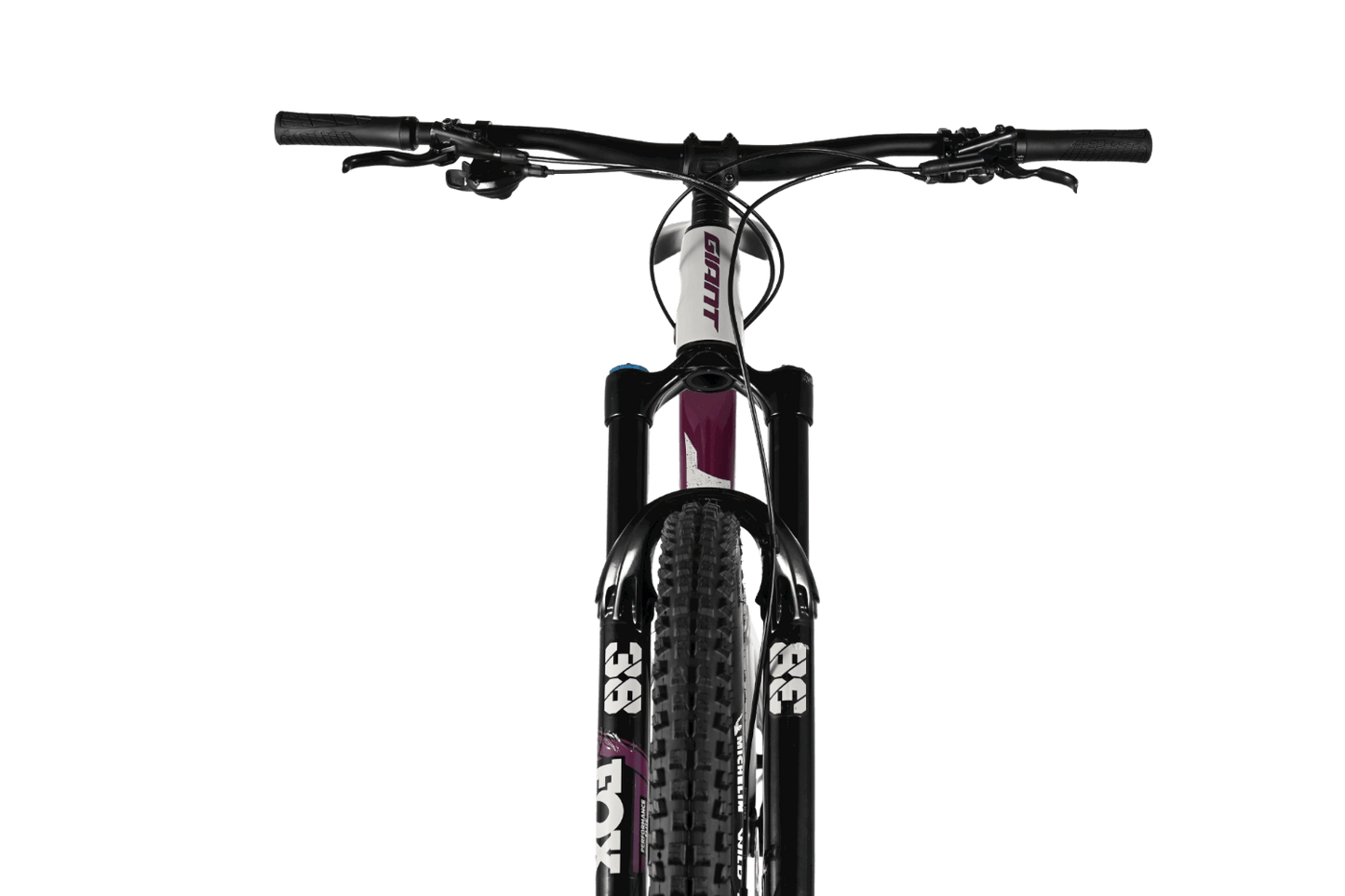 Giant Reign 29 SX | 2021 - XL - Loop Sports