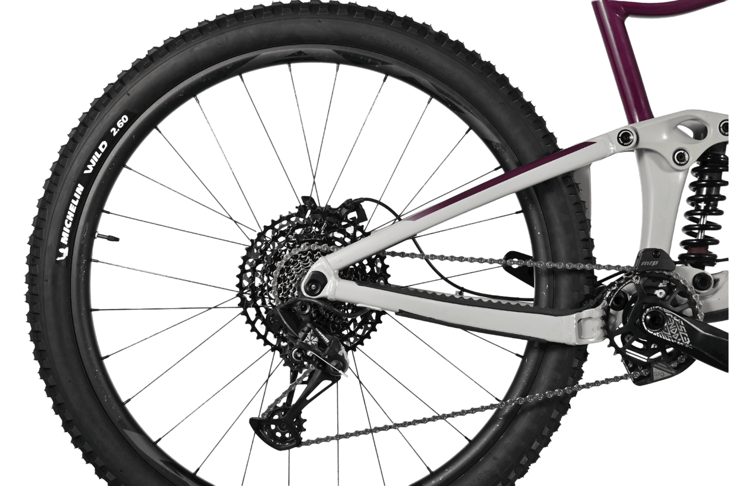 Giant Reign 29 SX | 2021 - XL - Loop Sports