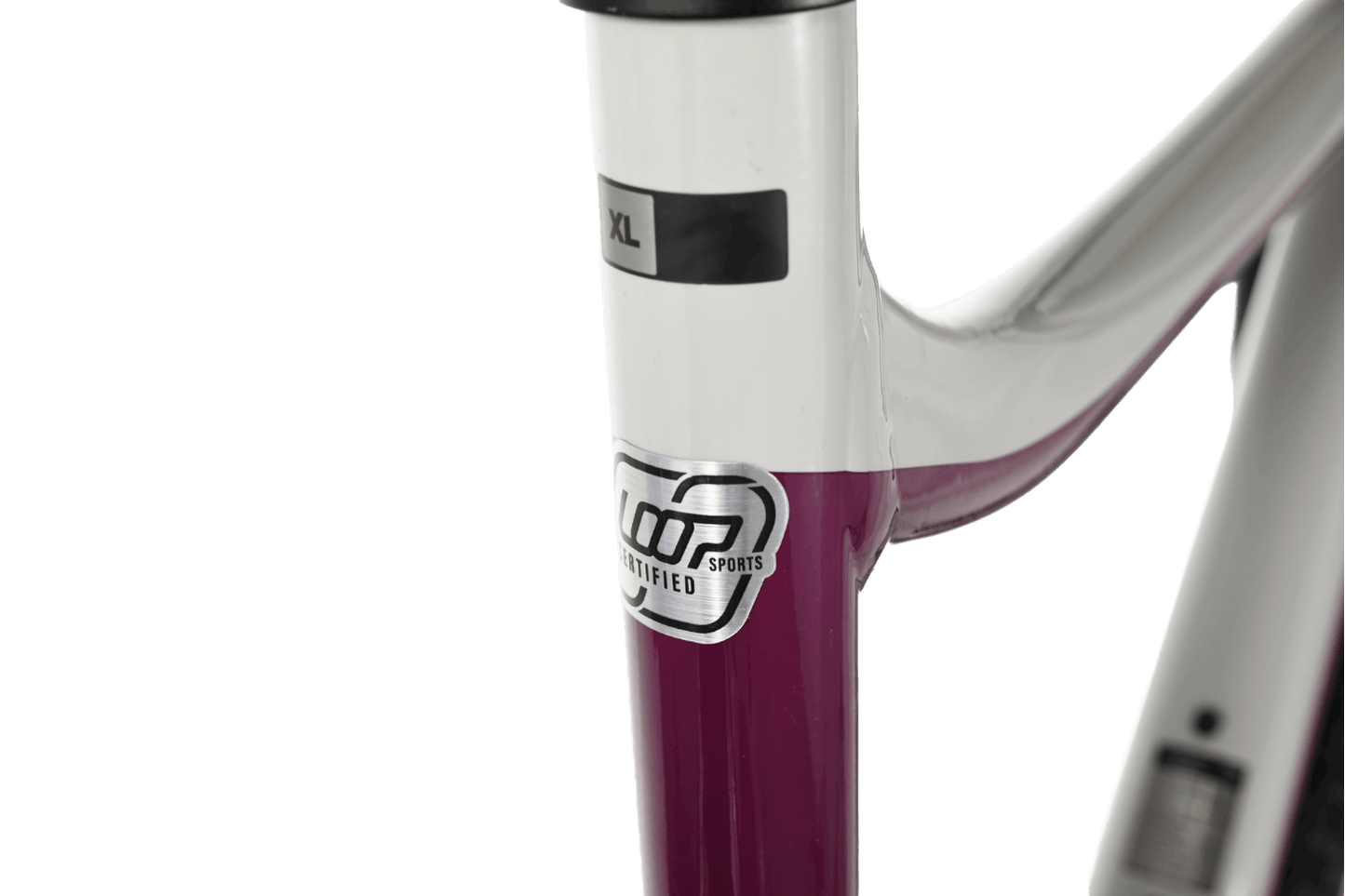 Giant Reign 29 SX | 2021 - XL - Loop Sports