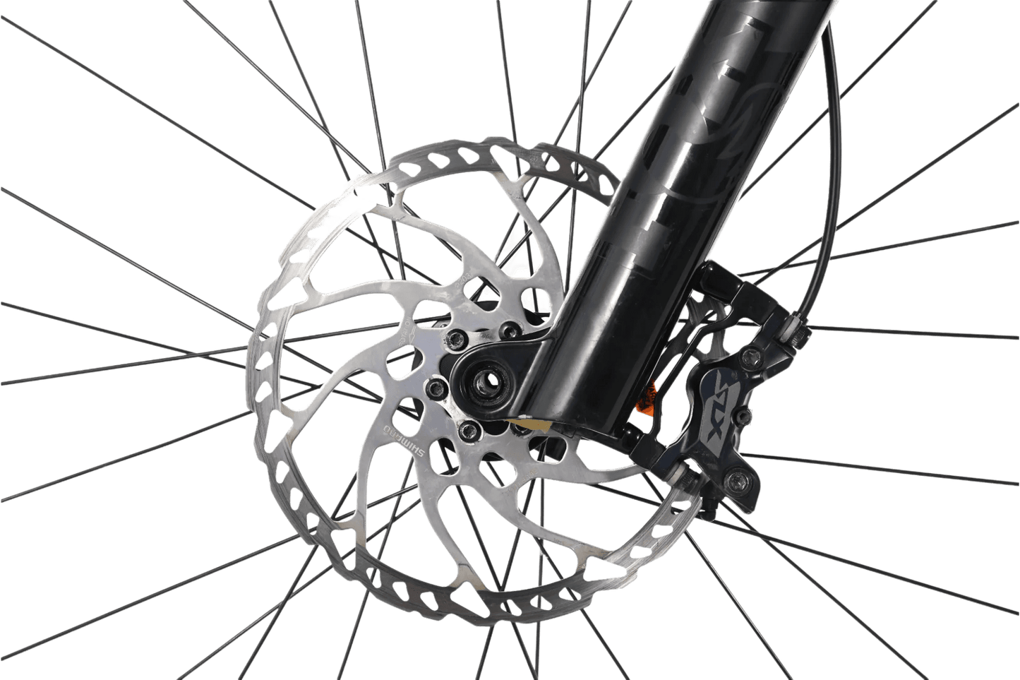 Giant Reign 29 SX | 2023 - L - Loop Sports