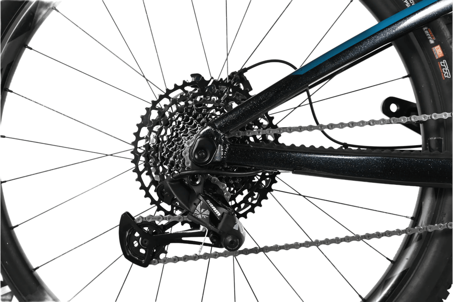 Giant Reign 29 SX | 2023 - M - Loop Sports