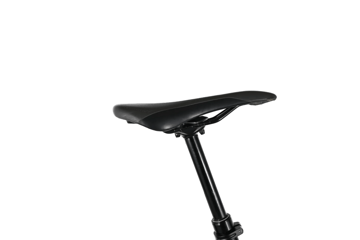 Giant Reign 29 SX | 2023 - M - Loop Sports