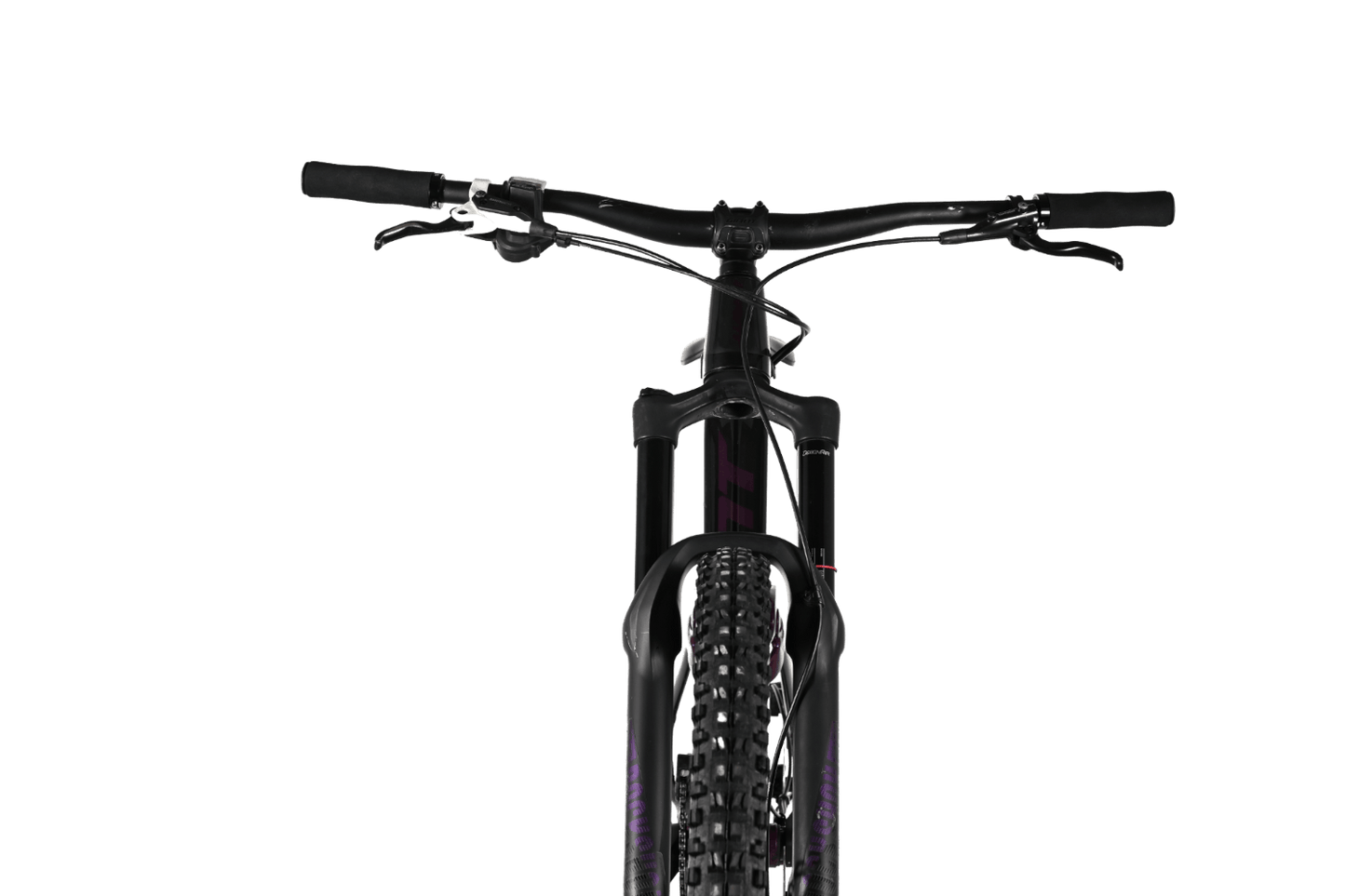 Giant Reign SX | 2020 - M - Loop Sports