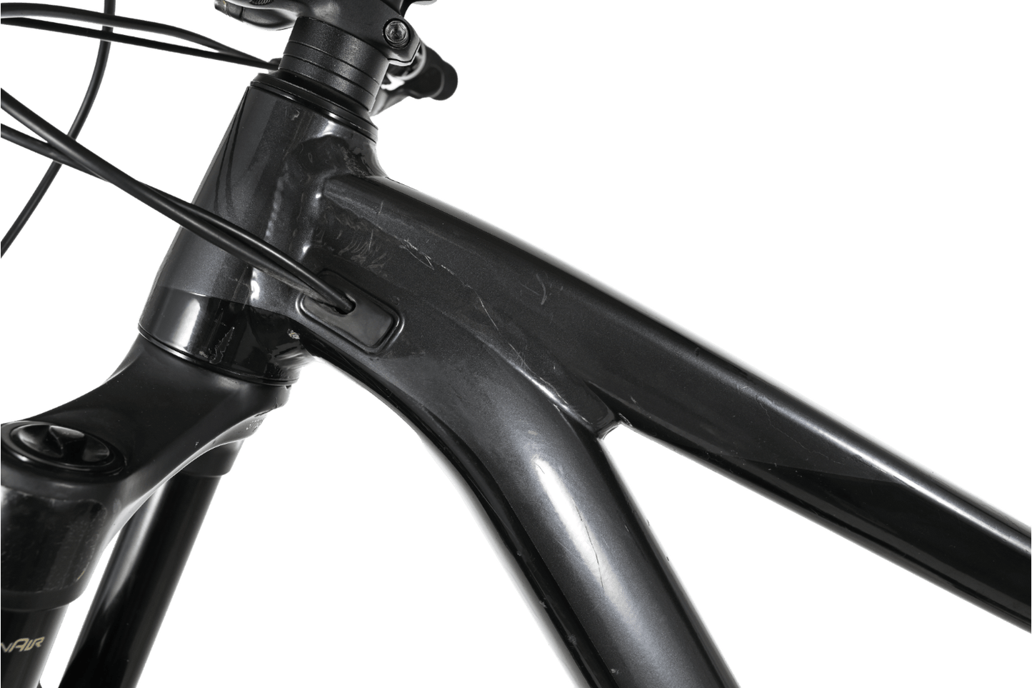 Giant Reign SX | 2020 - M - Loop Sports