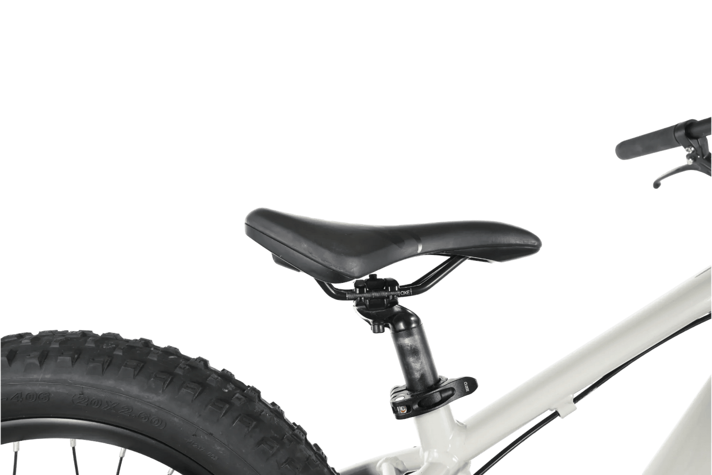 Giant STP 20 | 2023 - JR 20" - Loop Sports