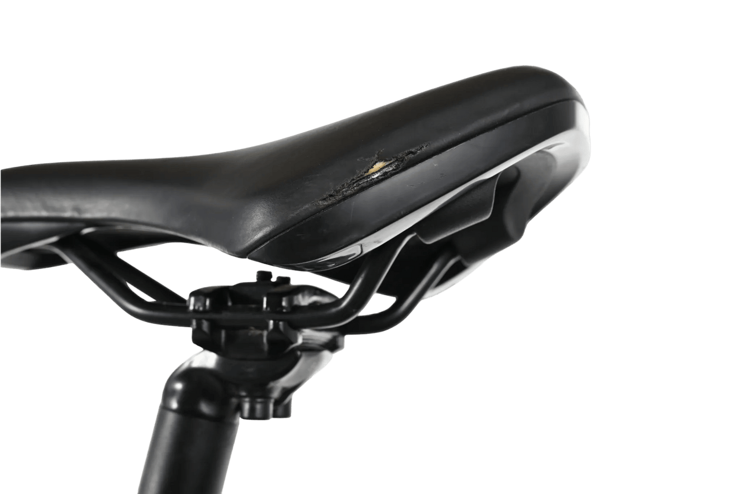 Giant STP 20 | 2023 - JR 20" - Loop Sports