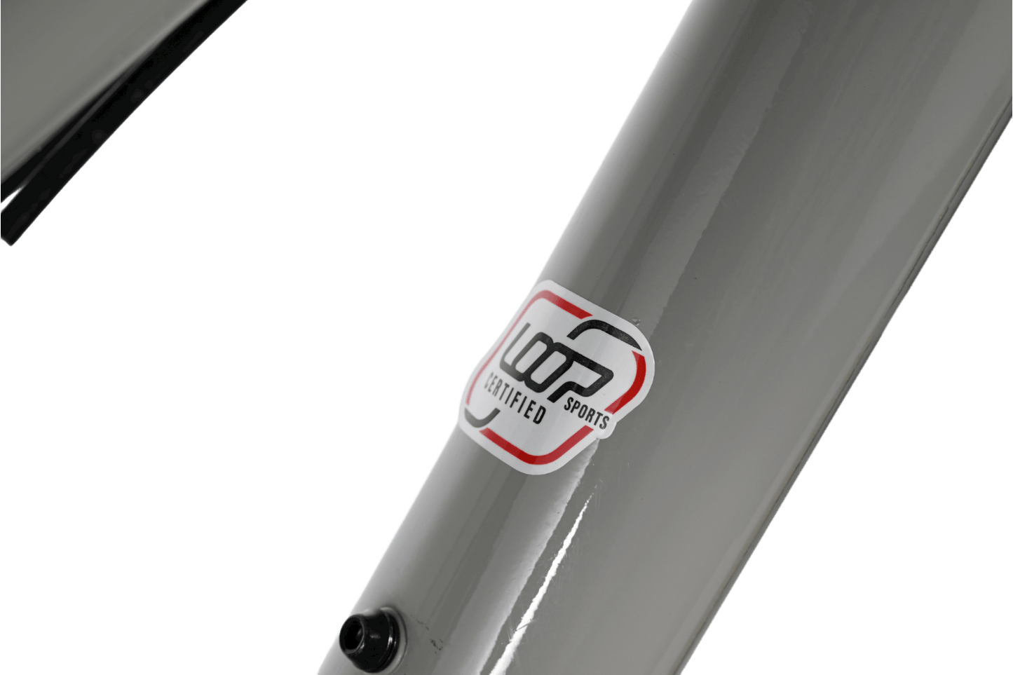 Giant STP 20 FS | 2021 - JR 20" - Loop Sports