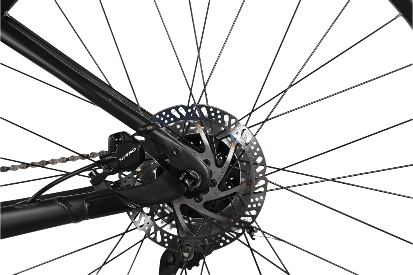 Giant Talon E+ 2 | 2023 - L - 180KM - Loop Sports