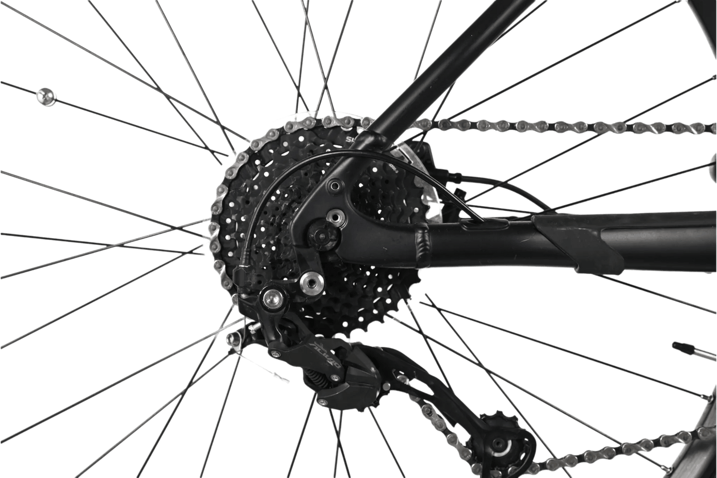 Giant Talon E+ 2 | 2023 - L - 89KM - Loop Sports
