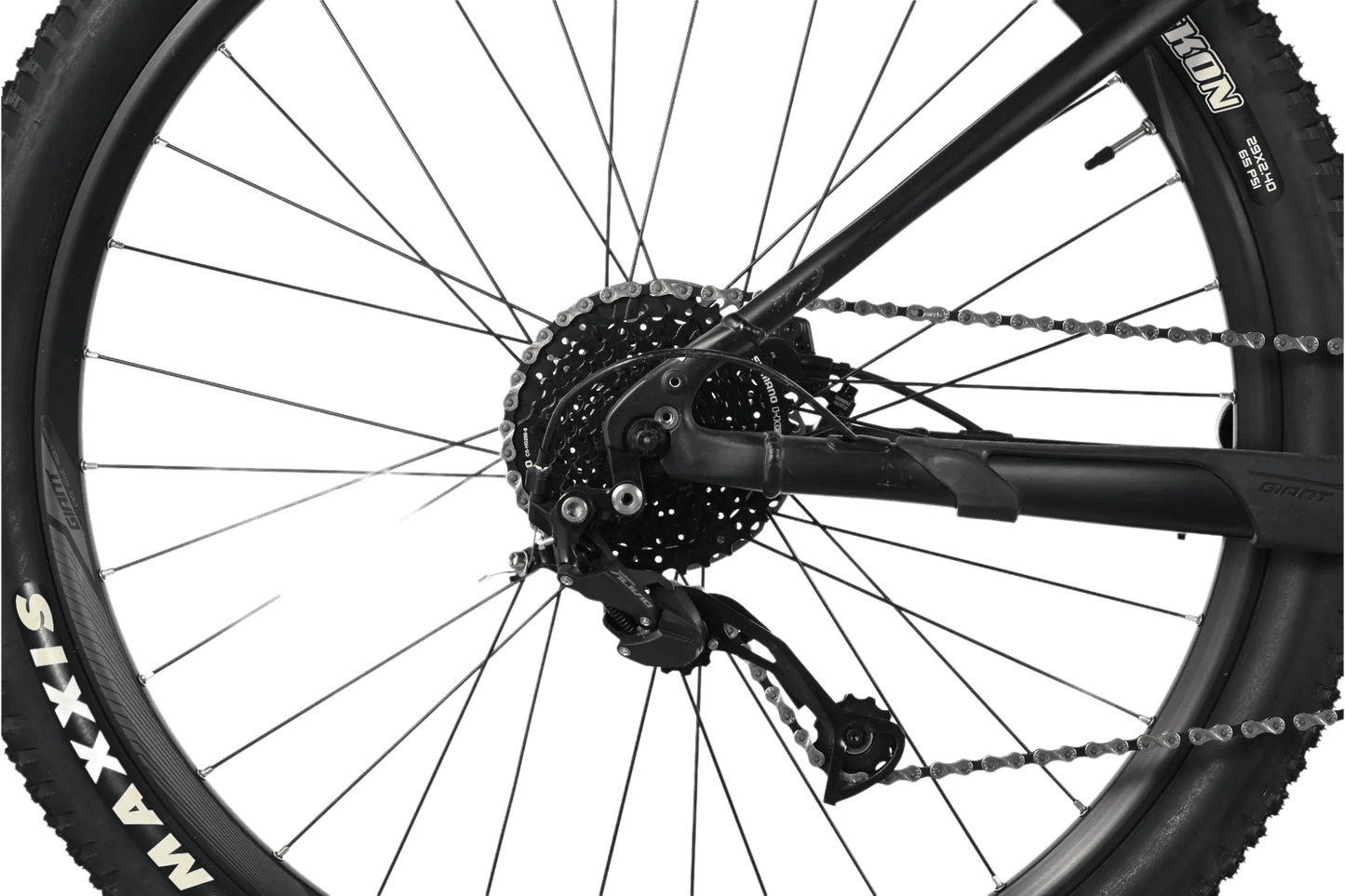 Giant Talon E+ 2 | 2023 - M - 10KM - Loop Sports