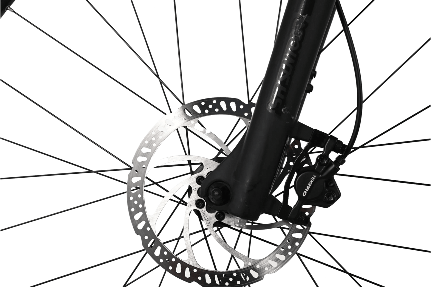 Giant Talon E+ 2 | 2023 - M - 127KM - Loop Sports
